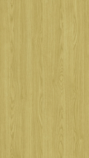 ModernWood Texture