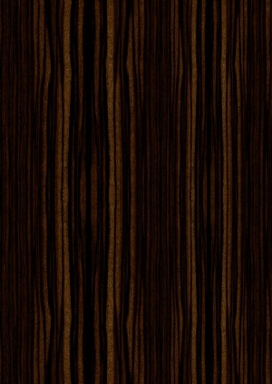 ModernWood Texture