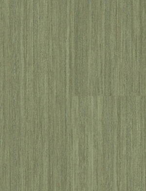 ModernWood Texture