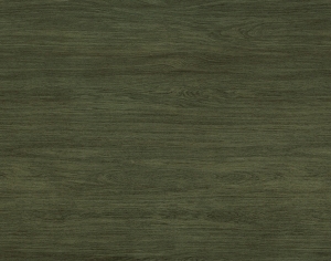 ModernWood Texture