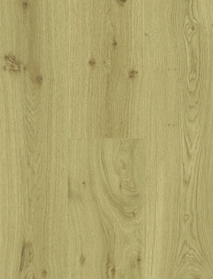 ModernWood Texture
