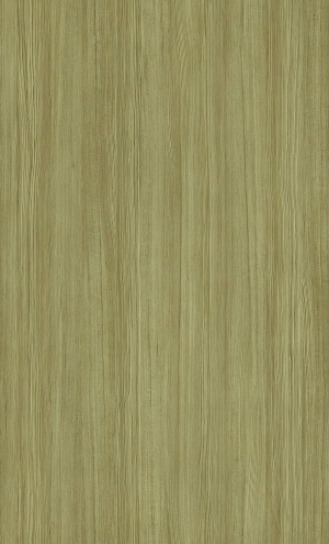 ModernWood Texture