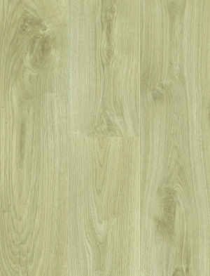 ModernWood Texture