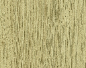 ModernWood Texture