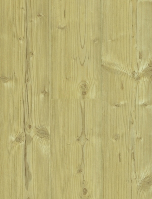 ModernWood Texture