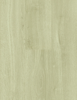 ModernWood Texture