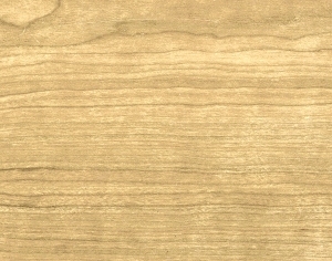 ModernWood Texture