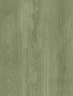 ModernWood Texture