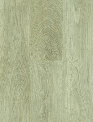 ModernWood Texture