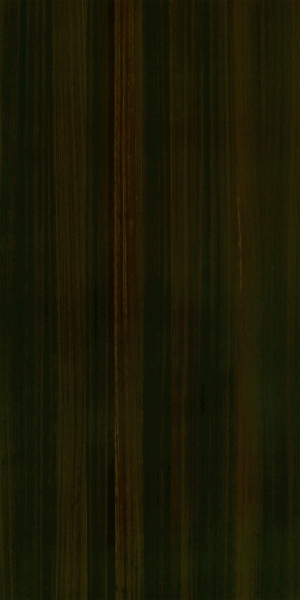 ModernWood Texture