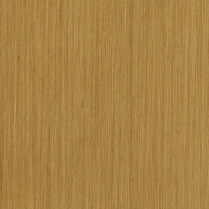 ModernWood Texture