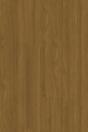 ModernWood Texture