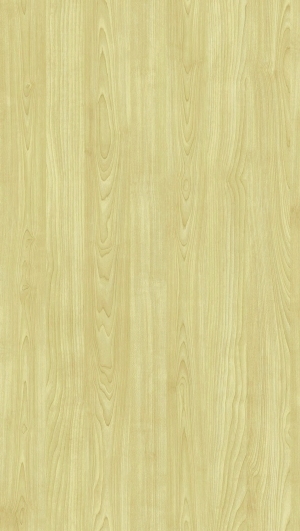 ModernWood Texture