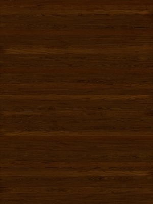 ModernWood Texture