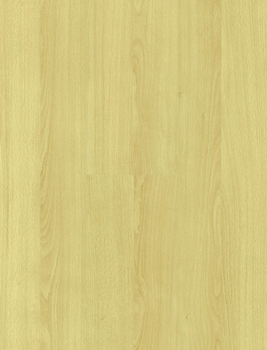 ModernWood Texture