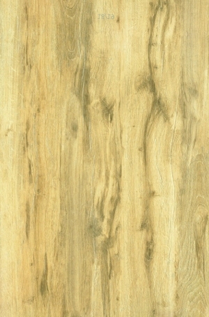 ModernWood Texture