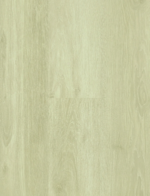 ModernWood Texture