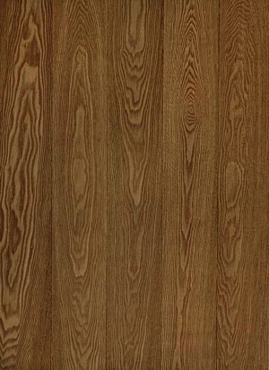 ModernWood Texture