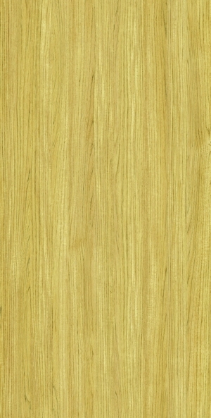 ModernWood Texture