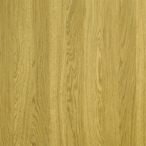 ModernWood Texture