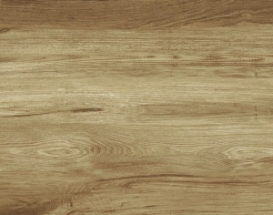 ModernWood Texture