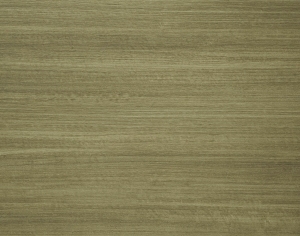 ModernWood Texture
