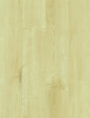 ModernWood Texture