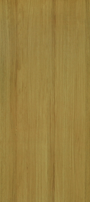 ModernWood Texture