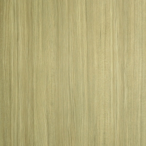 ModernWood Texture