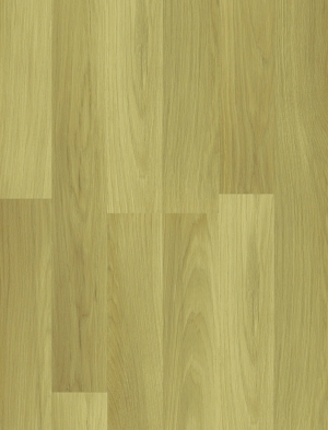ModernWood Texture