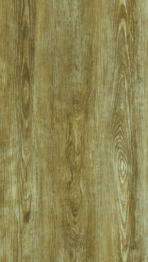 ModernWood Texture