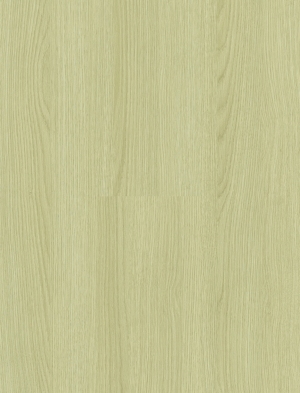 ModernWood Texture