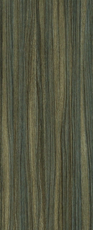 ModernWood Texture