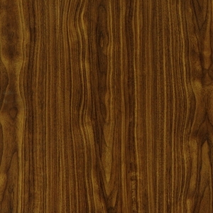ModernWood Texture