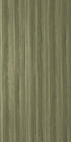 ModernWood Texture