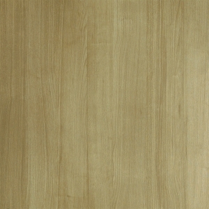ModernWood Texture