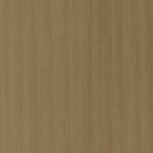 ModernWood Texture