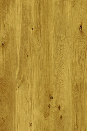 ModernWood Texture