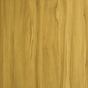 ModernWood Texture