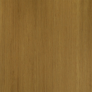 ModernWood Texture