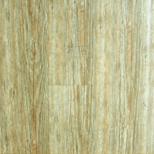 ModernWood Texture