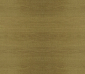 ModernWood Texture