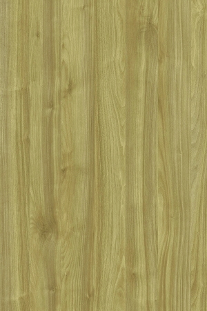 ModernWood Texture