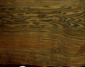 ModernWood Texture