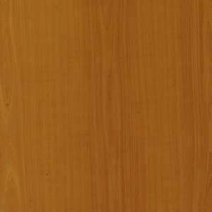 ModernWood Texture