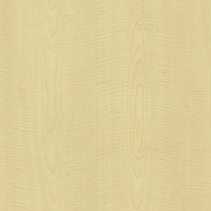 ModernWood Texture