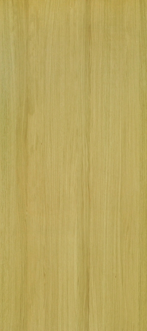 ModernWood Texture