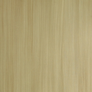 ModernWood Texture