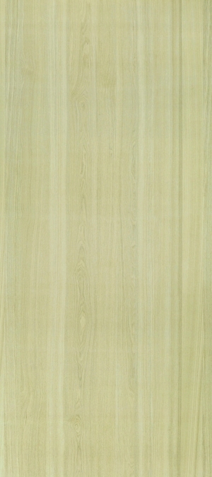 ModernWood Texture