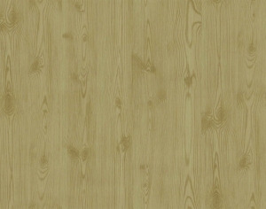 ModernWood Texture